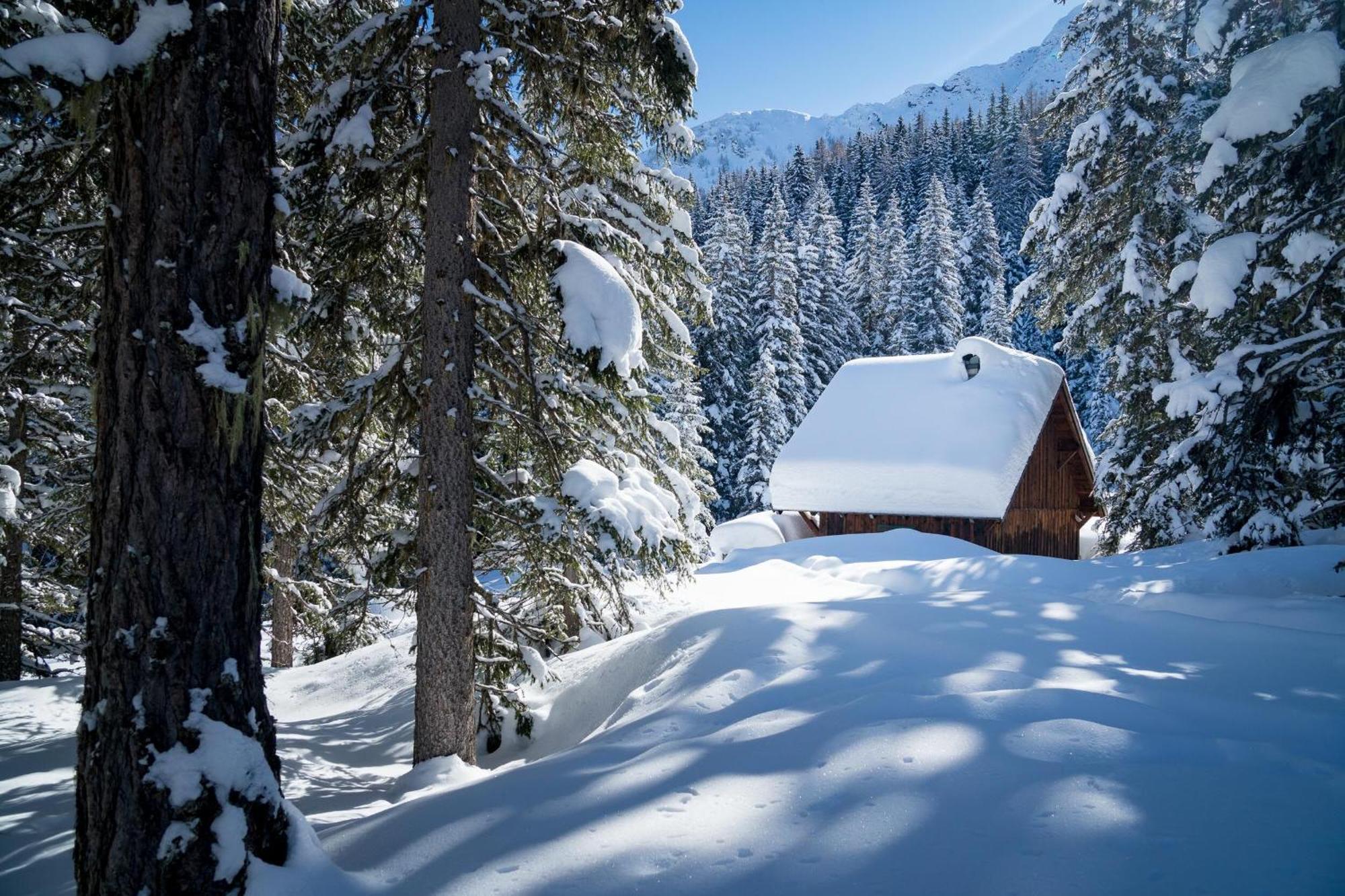 Landhaus Schwaiger Bad Hofgastein Εξωτερικό φωτογραφία